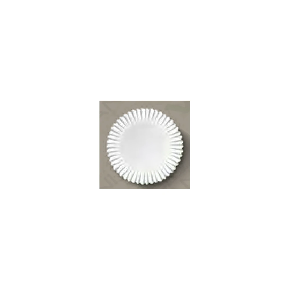 CÁPSULAS ANTIGRASA BLANCAS N° 5 IMPORTADA 500 U/POTE